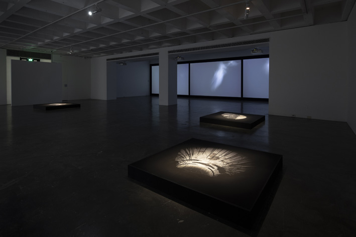 Thresholds at Tin Sheds Gallery